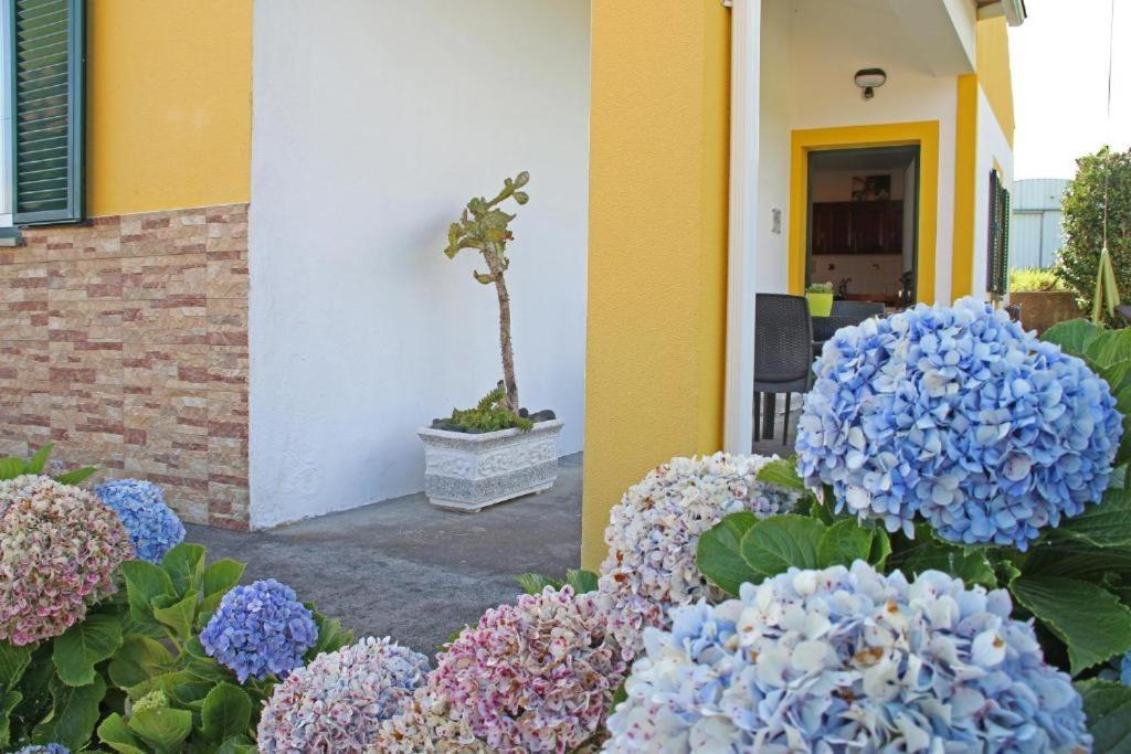 Вилла Casas Da Boa Vista Орта Экстерьер фото